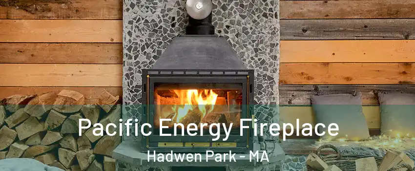 Pacific Energy Fireplace Hadwen Park - MA