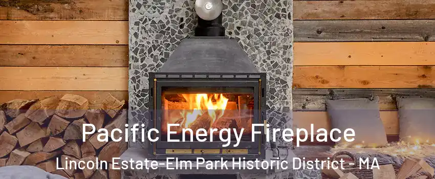 Pacific Energy Fireplace Lincoln Estate-Elm Park Historic District - MA