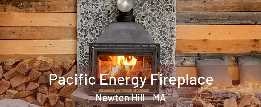 Pacific Energy Fireplace Newton Hill - MA