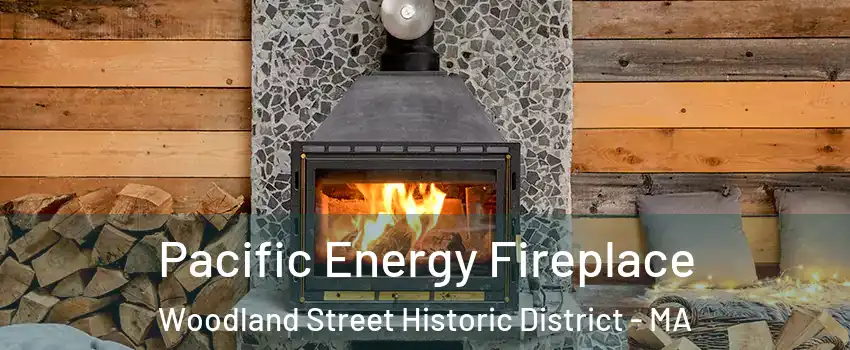 Pacific Energy Fireplace Woodland Street Historic District - MA