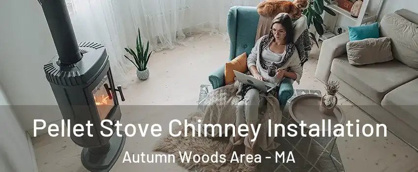 Pellet Stove Chimney Installation Autumn Woods Area - MA