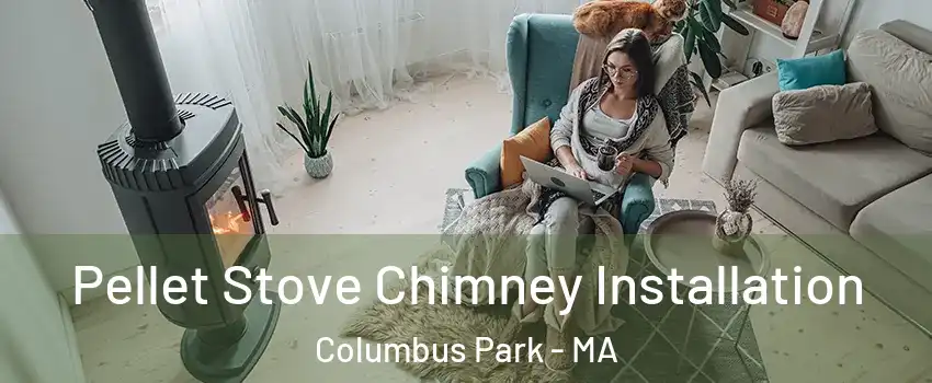 Pellet Stove Chimney Installation Columbus Park - MA