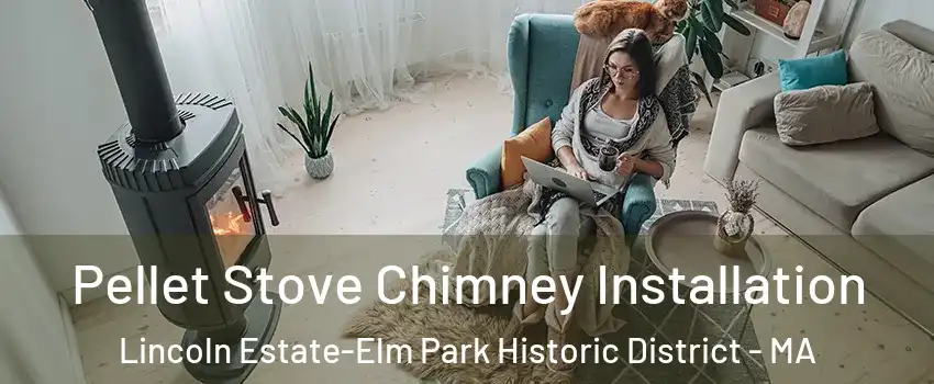 Pellet Stove Chimney Installation Lincoln Estate-Elm Park Historic District - MA