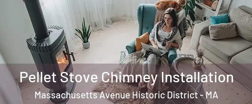 Pellet Stove Chimney Installation Massachusetts Avenue Historic District - MA