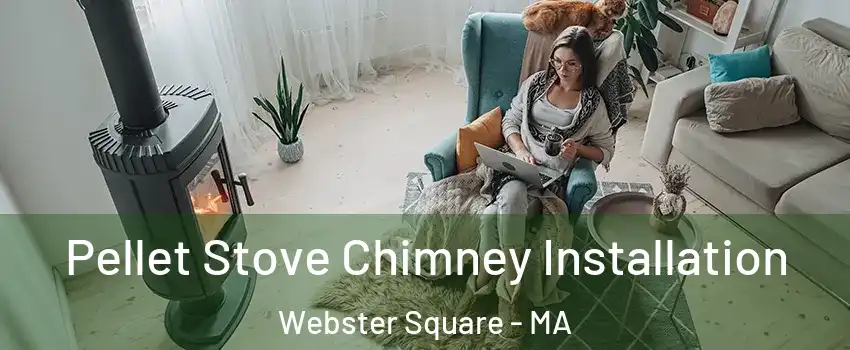 Pellet Stove Chimney Installation Webster Square - MA