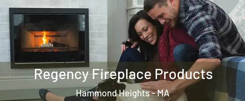 Regency Fireplace Products Hammond Heights - MA