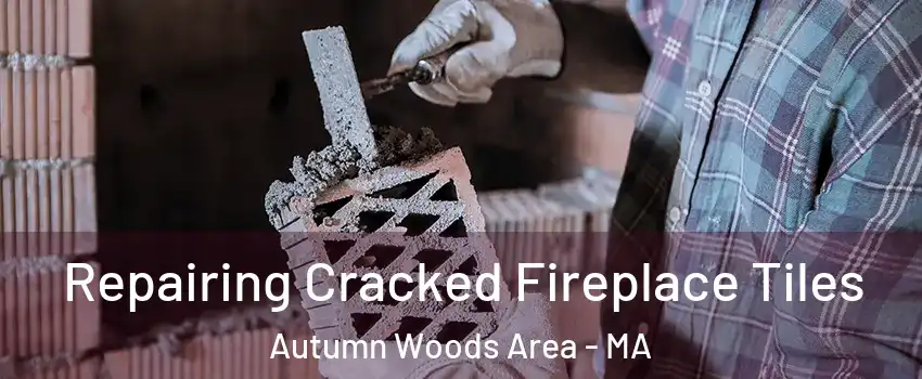 Repairing Cracked Fireplace Tiles Autumn Woods Area - MA