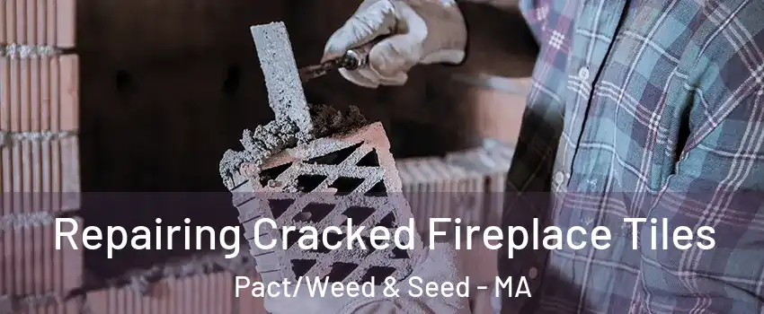 Repairing Cracked Fireplace Tiles Pact/Weed & Seed - MA