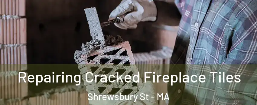 Repairing Cracked Fireplace Tiles Shrewsbury St - MA