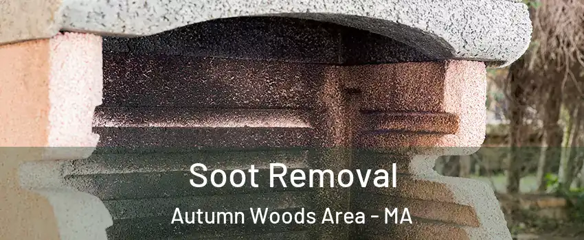 Soot Removal Autumn Woods Area - MA