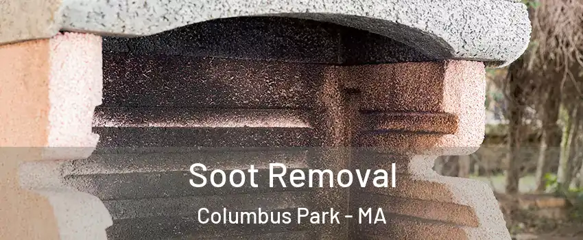 Soot Removal Columbus Park - MA