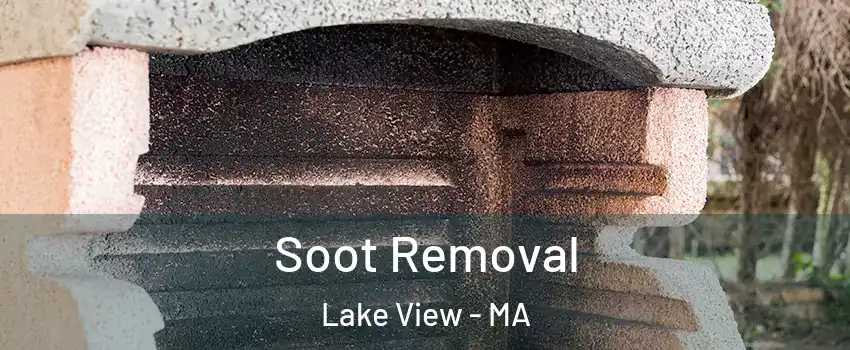 Soot Removal Lake View - MA