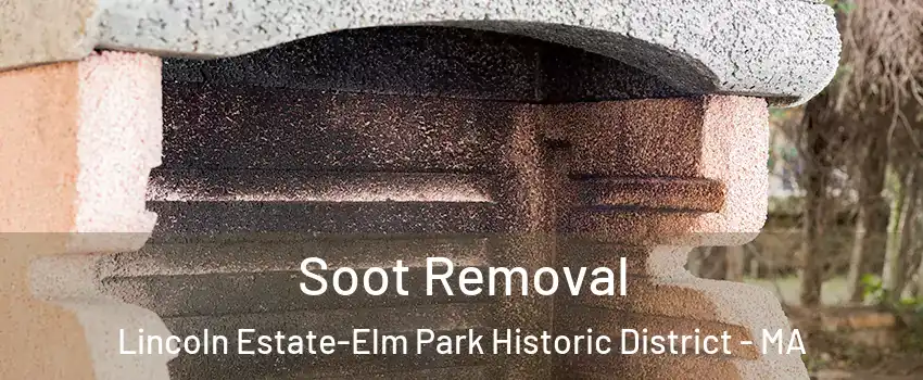 Soot Removal Lincoln Estate-Elm Park Historic District - MA