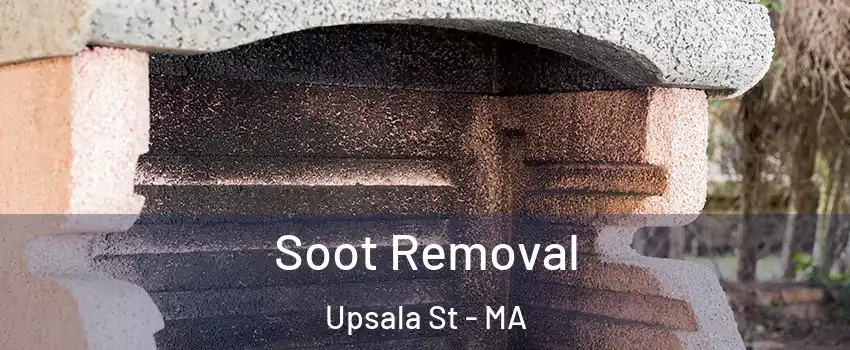 Soot Removal Upsala St - MA