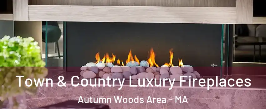 Town & Country Luxury Fireplaces Autumn Woods Area - MA