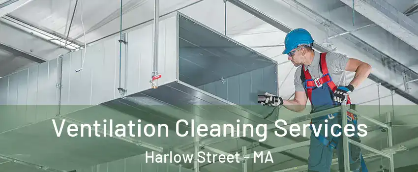 Ventilation Cleaning Services Harlow Street - MA