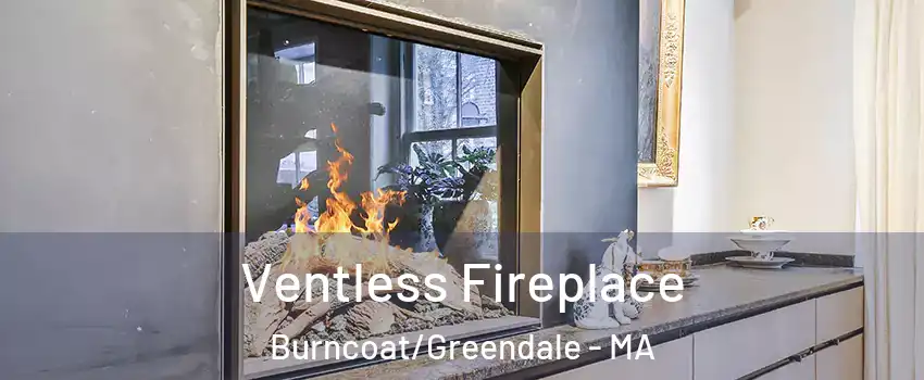 Ventless Fireplace Burncoat/Greendale - MA