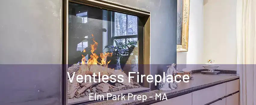 Ventless Fireplace Elm Park Prep - MA