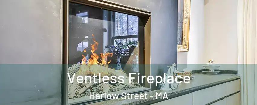 Ventless Fireplace Harlow Street - MA