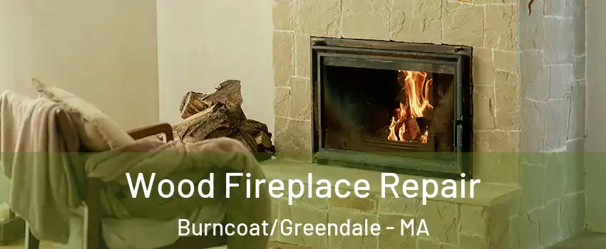 Wood Fireplace Repair Burncoat/Greendale - MA