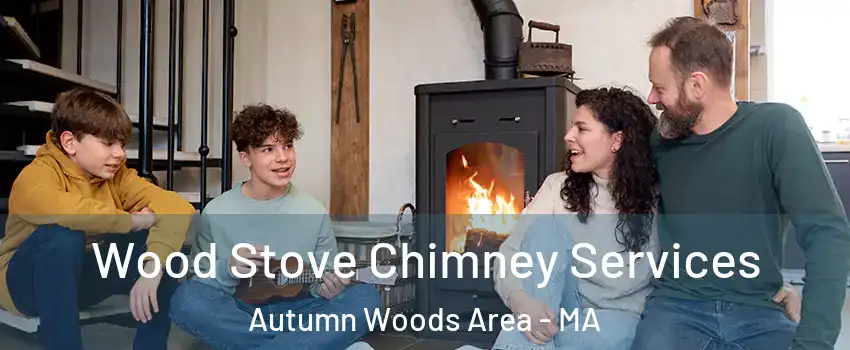 Wood Stove Chimney Services Autumn Woods Area - MA