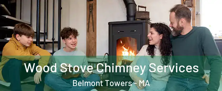 Wood Stove Chimney Services Belmont Towers - MA