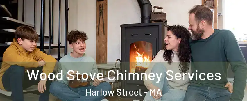 Wood Stove Chimney Services Harlow Street - MA