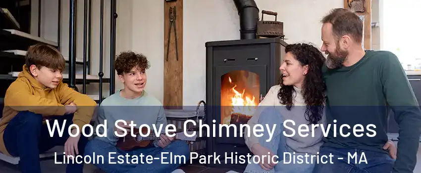 Wood Stove Chimney Services Lincoln Estate-Elm Park Historic District - MA