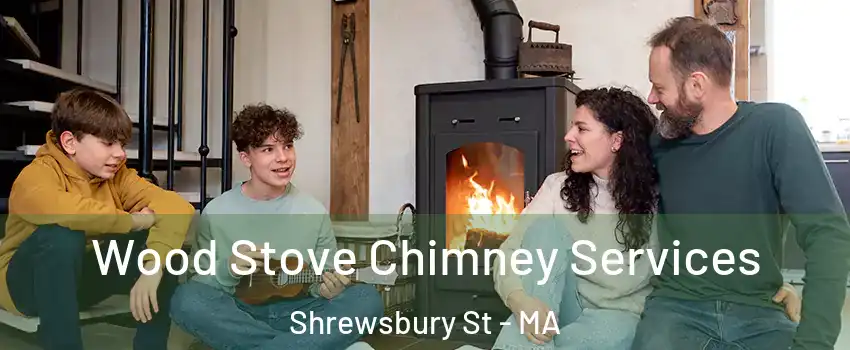 Wood Stove Chimney Services Shrewsbury St - MA