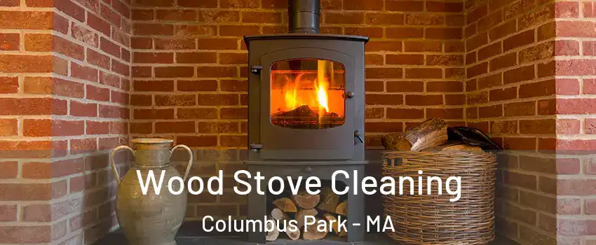 Wood Stove Cleaning Columbus Park - MA