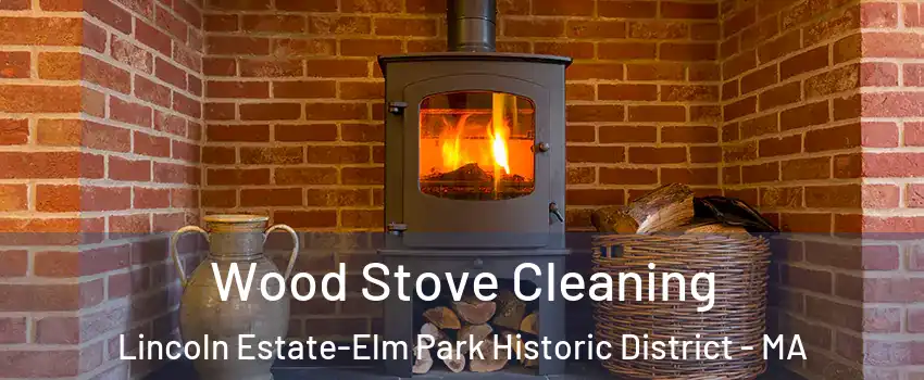 Wood Stove Cleaning Lincoln Estate-Elm Park Historic District - MA