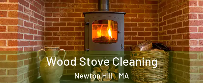 Wood Stove Cleaning Newton Hill - MA