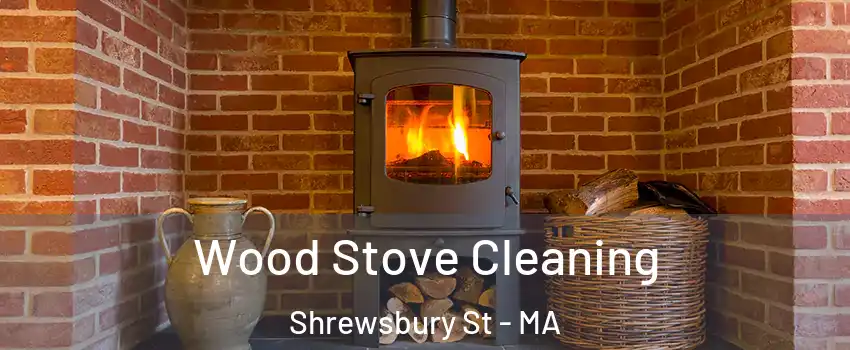 Wood Stove Cleaning Shrewsbury St - MA