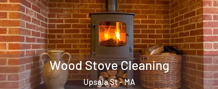 Wood Stove Cleaning Upsala St - MA