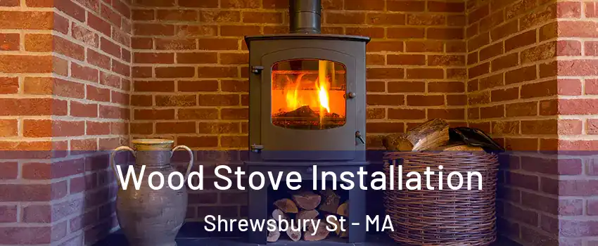 Wood Stove Installation Shrewsbury St - MA