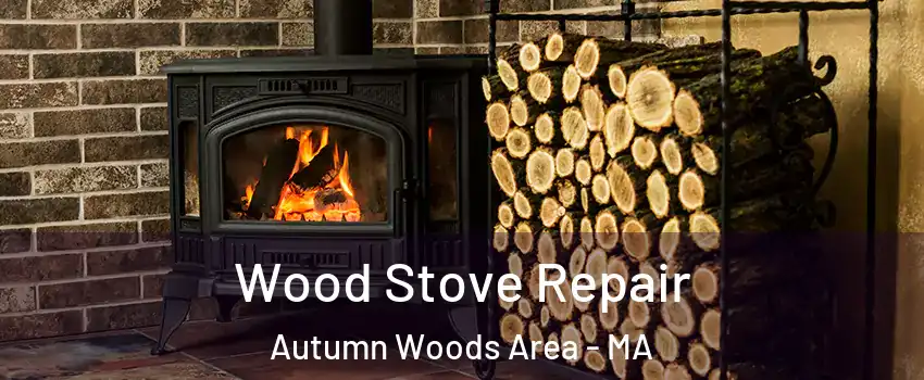 Wood Stove Repair Autumn Woods Area - MA