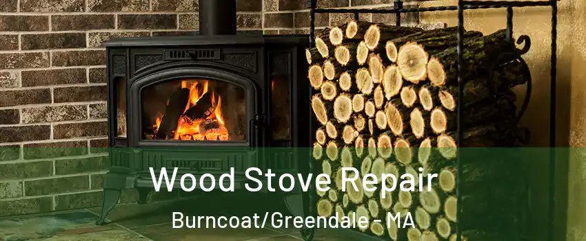 Wood Stove Repair Burncoat/Greendale - MA