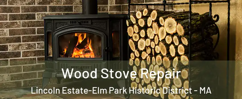 Wood Stove Repair Lincoln Estate-Elm Park Historic District - MA