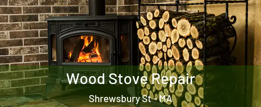 Wood Stove Repair Shrewsbury St - MA